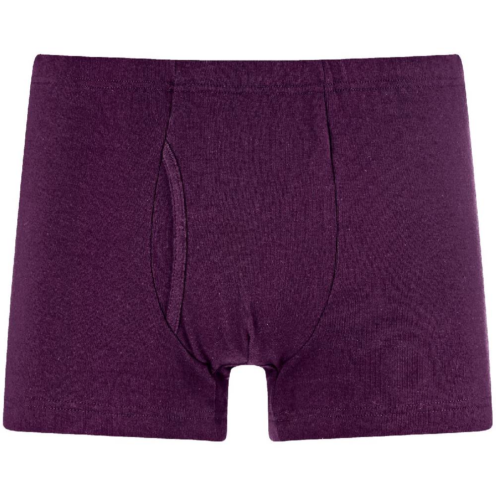 Jan Vanderstorm 5er Pack Retropants GARDAR bunt Limitierter Zeitrabatt