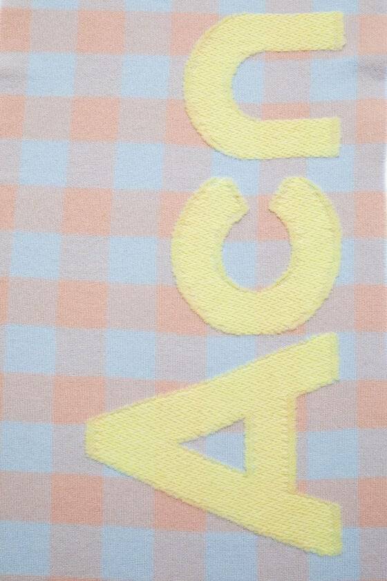 Acne Studios Karierter Schal mit Logo Zeitlich begrenztes Angebot