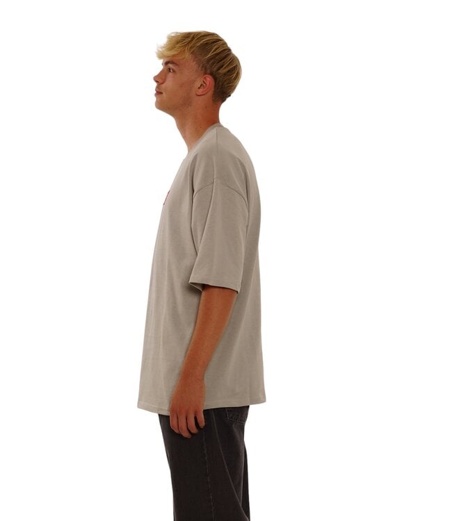 Picaldi EMPHASIZE Oversize Shirt Grey Muttertagsangebot