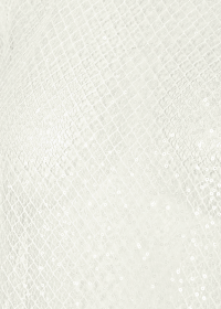 Riani TRANSPARENTE BLUSE MIT STEHKRAGEN Fabrikverkauf