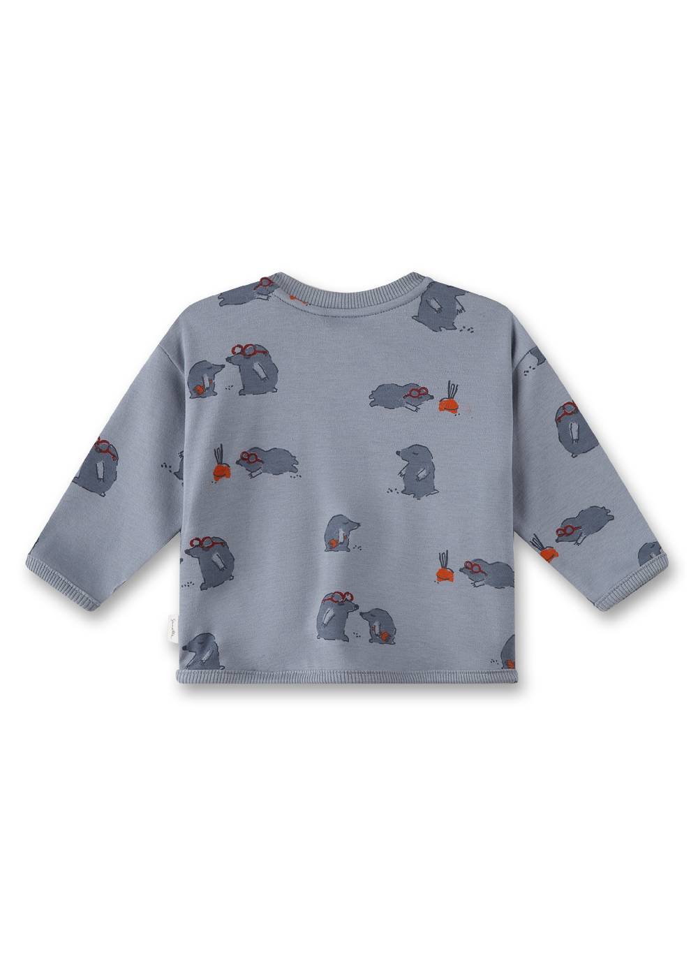 Sanetta Jungen-Sweatshirt Grau Super Rabatt