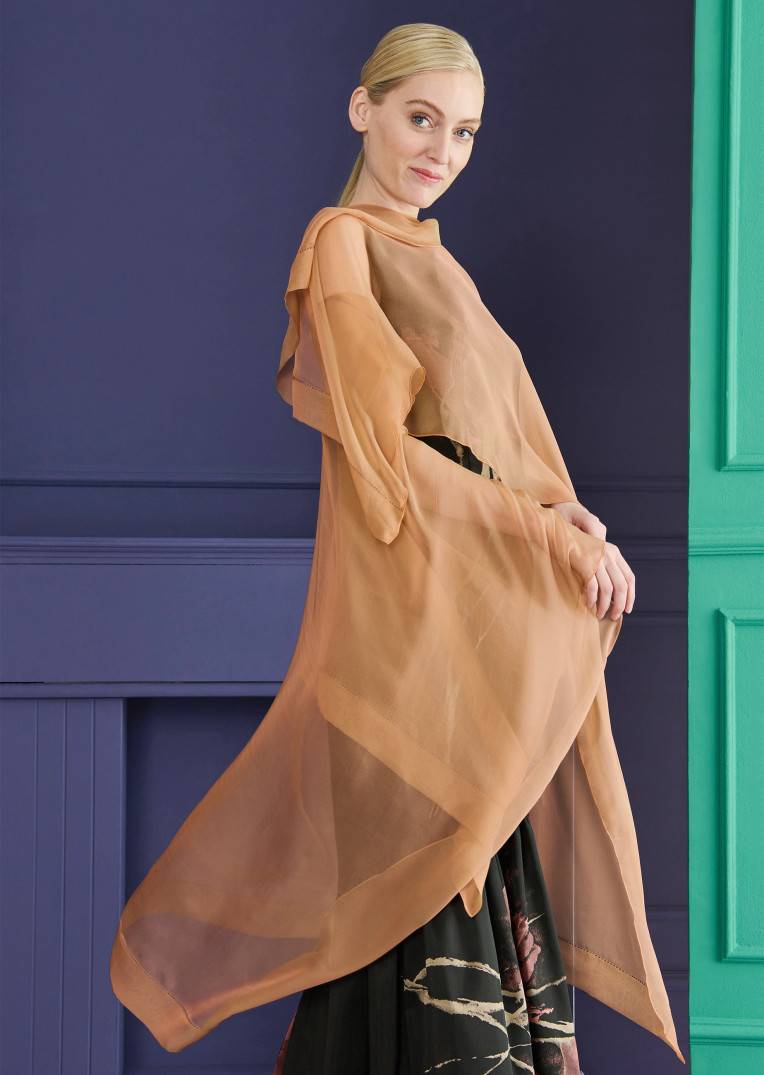 Talbot Runhof Stola Hint11 im Angebot
